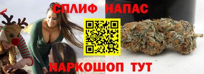 мяу мяу мука Обь