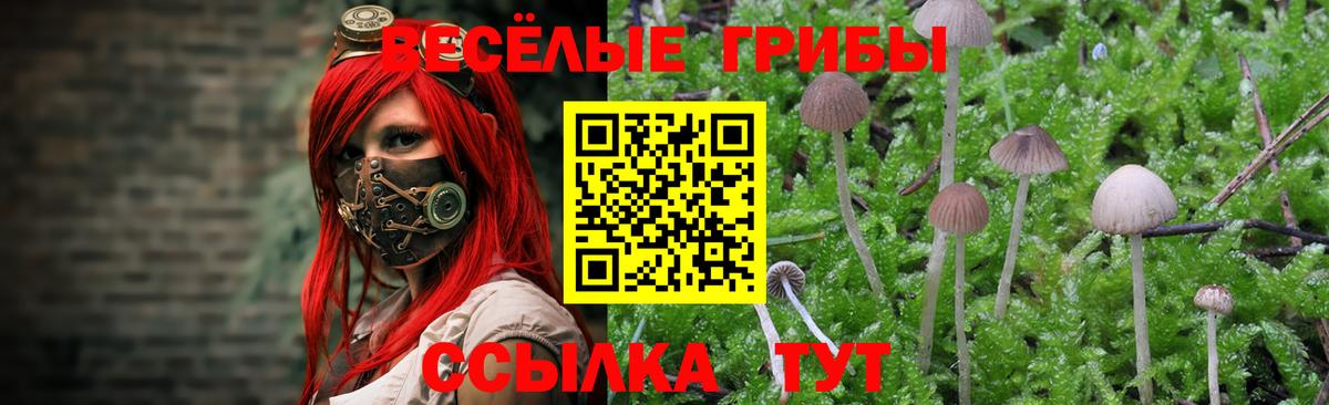 Галлюциногенные грибы Magic Shrooms Пыть-Ях